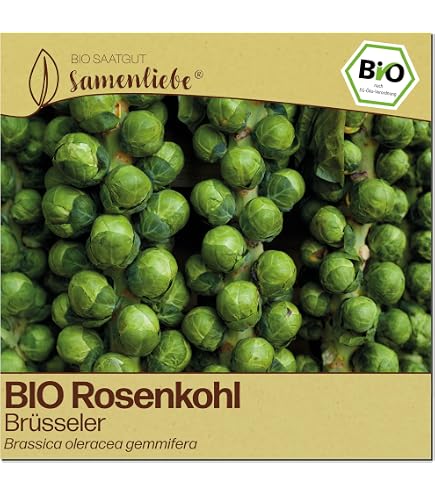 Bingenheimer Rosenkohl Idemar G609, demeter, 1 Portionsgrsse fr etwa 50  Pflanzen : Amazon.de: Garten