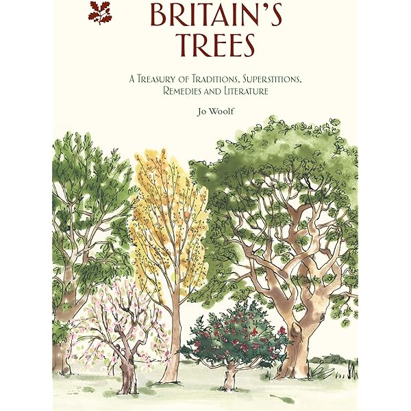 【中古】 Britain’s Wild Flowers: A Treasury of Traditions, Superstitions, Remedies and Literature/NATL TRUST/Rosamond Richardson Amazon.com: Britain's Wild Flowers: A Treasury of Traditions