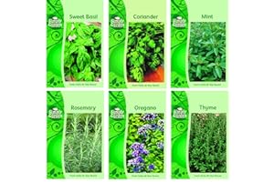 DE REE HERB COLLECTION 4- selection of 6 Fresh Herb Seeds Oregano, Coriander, Sweet Basil, Mint, Rosemary & Thyme