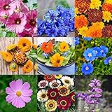 Prademir Essbare Blumen Samen Set 8 x verschiedenes Blumen Saatgut Saat Dekoration essbare Blüten Geschenk Pflanzen