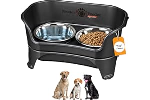 Neater Feeder Express Elevated Dog Bowls by Neater Pet Brands – Dog Bowls with Stand - Stainless Steel Food and Water Bowls – Raised Dog Bowl Set for Medium to Large Dogs, Midnight Black