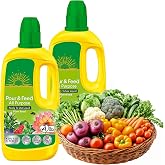 Miracle Grow Plant Food Fertiliser - Pack of 2 x 1L Pour & Feed All Purpose Plant Feed Ready to Use Liquids with Card. Child