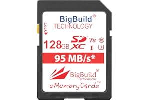 BigBuild Technology 128 Go UHS-I U3 95Mo/s Carte mémoire pour Panasonic Lumix DMC FT30, FT30EF A, FT30EF D, FT30EF K, FZ1000, FZ2000, FZ2500, FZ300, FZ72, FZ82, FZ82EBK Caméra