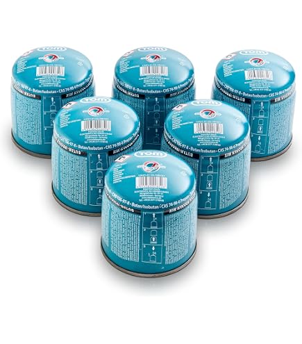 Cartouche de gaz butane 190 gr stop gaz, 0.19 kg | Leroy Merlin