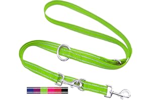 DEY - Premium Hundeleine Nylon 2m | Reflektierend | 3fach Verstellbar | für Kleine, Mittelgroße u. Große Hunde | viele Farben |Doppelleine Hund | Schleppleine | Führ-Leine | Welpenleine | Grün, M