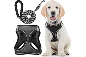 ECOEARTH Pettorina per cani + guinzaglio aggiornato - Medio, Nero corvino - Pettorina per animali imbottita + design anti-trazione + strisce riflettenti per cani di taglia piccola + media