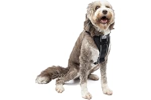 KURGO Uprząż Tru-Fit Smart o zwiększonej wytrzymałości, czarna, bardzo duża