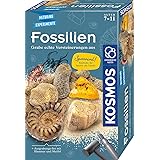 Kosmos Scavare fossili Kit di esperimenti per Bambini, Colore Verde Teal/Turchese, 21 x 13 x 5.5 cm, 657918