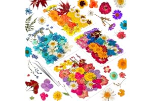 YoothBro 191PCS Real Nature Dried Pressed Flowers for Resin Mold, Dry Pressing Floral Set for DIY Jewelry Making Nail Card Scrapbook Art Craft Decors Blossom