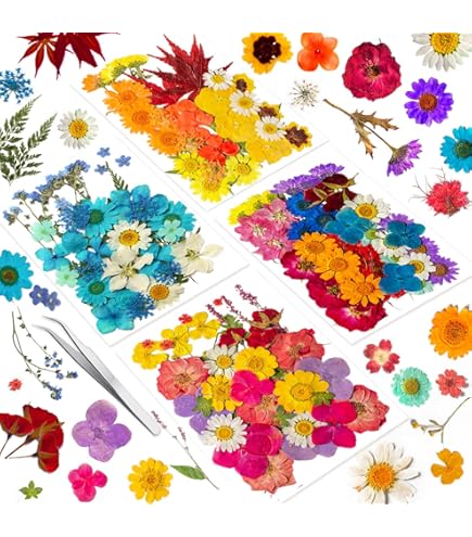 MWOOT 48 stuks DIY ambachten gedroogde geperste bloemen