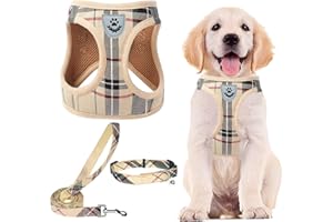 PUPTECK Dog Harness Small Dog with Collar and Lead Set Step-in No Pull Puppy Cat Harnesses for Daily Walking