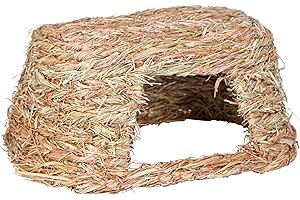 Kerbl Pet Grashaus, Nagerhaus, Kleintierhaus, 39x29x19,5cm, Gras, Nager, frei von Draht- oder Kunststoffteilen
