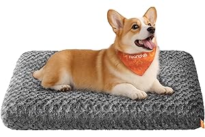 Feandrea Panier pour Chien, Taille L, pour Chiens de Taille Moyenne, Lit pour Animaux, Tissu Peluche, 95 x 60 cm, Rembourrage Doux, Lavable, Antidérapant, Gris Ardoise PGW292GN01