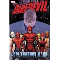 Daredevil: Shadowland Omnibus Cassaday Cover (New Printing