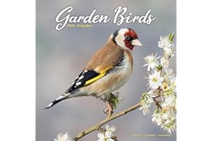 Garden Birds Calendar 2026 Square Birds Wall Calendar - 16 Month