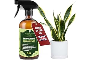 GARDENNOVA Professional Organic Liquid Kelp Spray for Snake Plant Plants - 8 oz - Ready-to-Use Fully Organic Seaweed & Kelp Fertilizer Mist