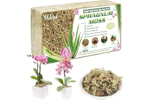 Halatool 500g Premium Sphagnum Moos für Pflanzen & Orchideen - Organisches Torfmoos Langfaserig，Blumenerde für Zimmerpflanzen und Terrarien，Natürliche Feuchtigkeitsspeichernde Pflanzenerde