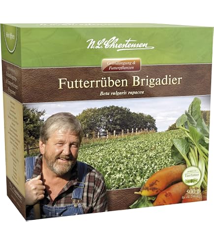 Futterrbe Brigadier Runkelrbe 500g Rbe : Amazon.de: Garten