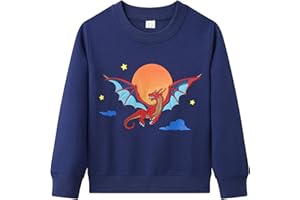 Dinopjs Jungen Pullover, Boys' Warm Sweatshirts, Klassischer Cartoon Tiere, Traktor, Dino, Fliegender Drache Ritter, Regenbogen, Eisbär Weihnachtsbaum, Baumwolle Sportshirts für Kinder 2-9 Jahre