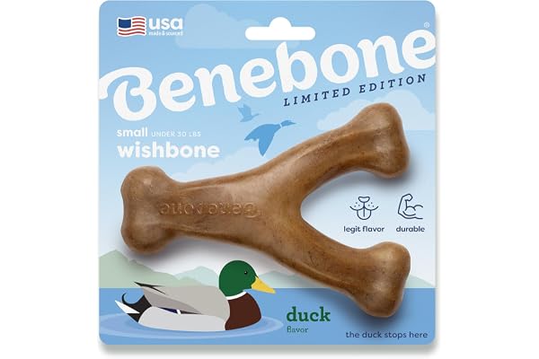 Benebone Wishbone – Jouet à mâcher pour Chien Robuste, pour mâcheurs puissants, saveur Canard, Fabriqué aux États-Unis, Taille S