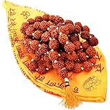 S.G.U. DEDICATED TO GOD 5 Mukhi Natural Rudraksha Mala 108+1 Beads with Gaumukhi for Jaap, Meditaion