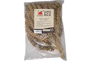 Millet Spray 1kg – Ultimate Deluxe Millet Spray Treat For Budgies Cockatiels Canaries Parrots Hamsters Rats Gerbils - Air-Dried Whole Sprays – High Energy, Easy to Digest – UK Packed - Seedzbox