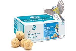 RSPB - Fat Balls for Wild Birds, High Energy Suet Balls, Made in the UK, Delicious and Nutritious Bird Food, Suitable for Year-Round Feeding (Box of 50)