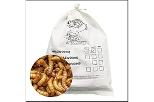 Livefoods4u Live Mealworm 500g Bulk Bag (20-30mm) - Live Food for Reptiles & Garden Birds