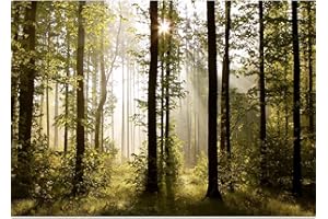 Runa Art Carta da parati fotografica 396 x 280 cm Forest Landscape Sun | Vello Decorazione Murale Soggiorno Camera Da Letto | Manifattura tedesca | verde Brown 9010012a