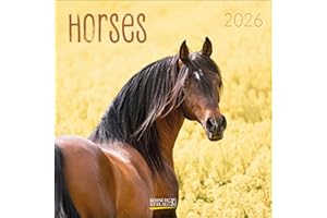 Horses 2026: Broschürenkalender mit Ferienterminen. Pferde und Ponys. 30 x 30 cm