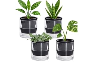 D'vine Dev 4 Inch Design Self Watering Planter for Indoor Plants, Black Terracotta Pot with Cylinder Glass Cup, Set of 4, 37-Z-A-3-F
