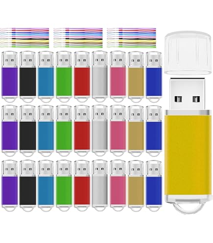 Nicepicten 2GB Swivel Metal Flash Drive 10 Pack: Buy Online at