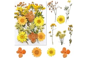 LAEEYIN Suszone kwiaty, zestaw do majsterkowania, żywica epoksydowa, akcesoria do scrapbookingu, ręcznie robiona dekoracja domu, na wesele