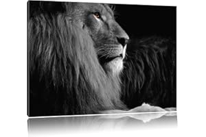 PIXXPRINT Dark belle fiers Leo noir / blanc Format: 120x80auf toile, d'énormes photos XXL complètement encadrée avec civière, art impression sur murale avec cadre, moins cher que la peinture ou la peinture à l'huile, aucune affiche ou un poster
