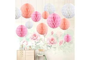 Himeland Party Dekoration Set, 12x Deko Zubehör Seidenpapier Wabenbälle für Junge und Mädchen Kindergerburtstagsfeier/Hochzeit/Baby Shower