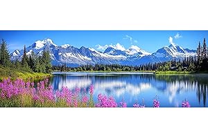 Bimkole Grand Peinture par Numéros pour Adulte Lac, Encadré Paint by Numbers Kit Paysage, DIY Débutants Dessin Peinture Pinceaux Relaxation Décor Murale Art 30x80 cm