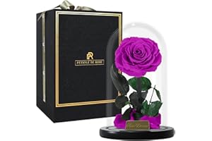PÉTIOLE DE ROSE Rosa eterna Real preservada, La Bella y la Bestia, Rosa eterna Natural en cúpula de Cristal, Regalo día de la Madre, San Valentín, Sant Jordi, Cumpleaños. (Violeta)