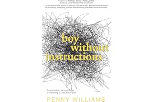 Boy Without Instructions: Surviving the Learning Curve of Parenting a Child with ADHD.