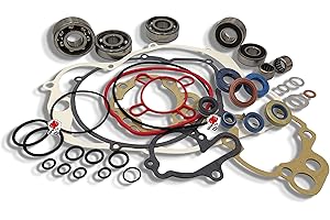 LG-MOTORS POWER ENGINEERING Kit de revisión del motor completo AM345 AM6 Rodamientos SKF + 7 paraoli + Juntas BETA VENT Fantic Rieju con regalo LG-MOTORS