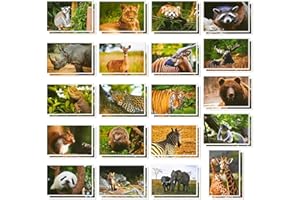 BEST PAPER GREETINGS Wild Animal Postcards - 40 Postcards - Bulk Set - Featuring Tigers, Bears, Giraffes, Elephants, & More - 10 x 15 cm.