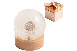 ‎1ST HEAVEN 1st Heaven Pusteblume in Harzkugel, Wunscherfüller, Dekoration für Zuhause & Büro, Realer Pusteblume Briefbeschwerer in Geschenkbox, Ideal für Geburtstag, Hochzeit & Abschluss