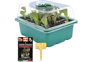 HERBARIA Mini serra semenzaio di germinazione- 12 compartimenti per le vostre piantine. Set completo di 1 vassoio 1 coperchio di plastica trasparente e 1 vassoio da semina resistente da 12 vasetti l'uno