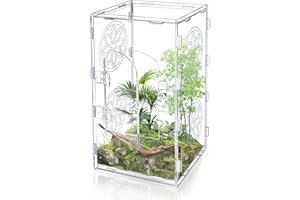 CHIHUTOWN Acrylic Jumping Spider Enclosure, 12x6x6 Inch Tarantula Enclosure, Jumping Spider Accessories with Front Opening Door