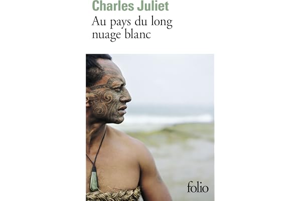 Au pays du long nuage blanc: Journal, Wellington août 2003 - janvier 2004