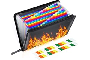 THINKTEX Feuerfeste Dokumentenmappe 24 Fächern,A4 Ordner/Wasserfest Dokumententasche, Fächermappe mit Reißverschluss,Datei Organizer,Erweiterbar Ordnungsmappe Mappe,Tragbar Sortiermappe,Aktentasche Busine