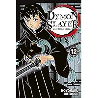 Demon Slayer T12