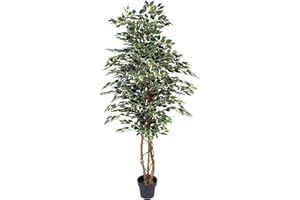 Blooming Artificial - Ficus Tree Artificial Plant, Large Fake Plant in Pot for House and Indoors, Year Round Decorative Realistic Faux Foliage (Variegated) (180cm/ 6ft)