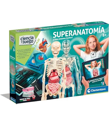Modelo De Cuerpo Humano Para Niños , 6 Piezas Extraíbles Torso Modelo De Cuerpo Humano Para Niños , 6 Piezas Extraíbles Torso