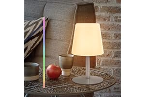 UUFFOO Lampada da Tavolo Senza Fili, Bianca Calda 8 Colori Dimmerabile 2 Modi di Illuminazione Lampada da Comodino, USB Ricaricabile Impermeabile per Giardino Ristoranti Camera Campeggio (Base:Argento)