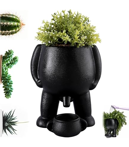 Blumentopf In Körperform – Lustige Penisvase, Übertopf Aus Harz, Braun, Für Sukkulenten Oder Stifte
